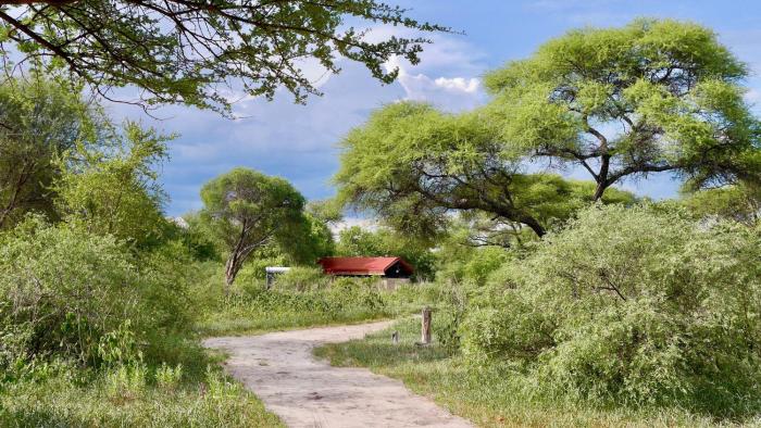 tshima bush camp