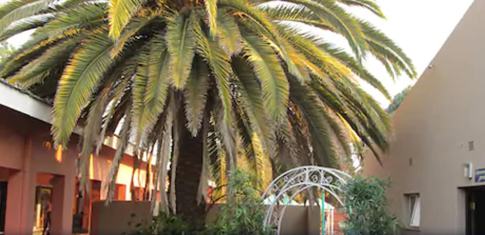 oasis motel