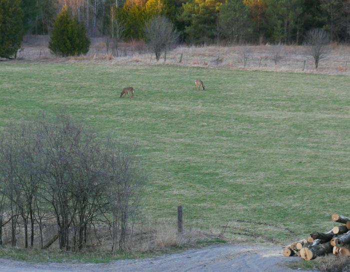 our valley view bed and breakfast