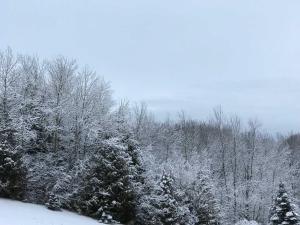our valley view bed and breakfast