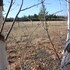 woodhouse cottages and ranch