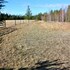 woodhouse cottages and ranch