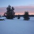 woodhouse cottages and ranch