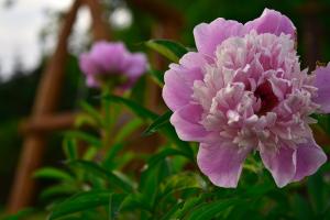 motel au vieux frontenac