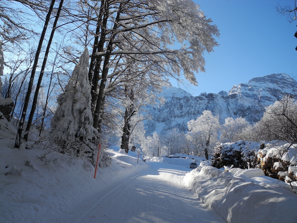 engelberg