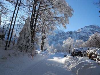 engelberg
