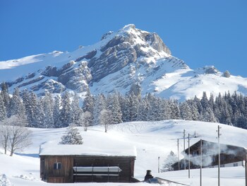 engelberg