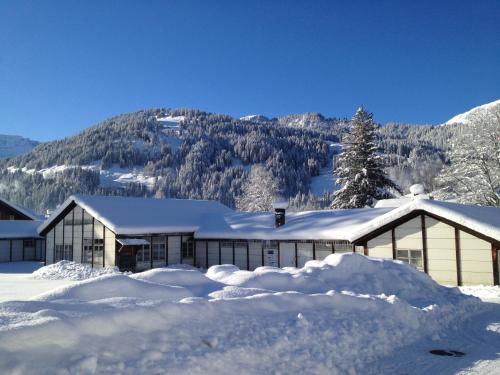 lenk