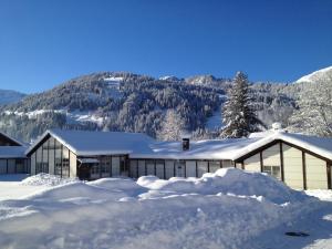 lenk