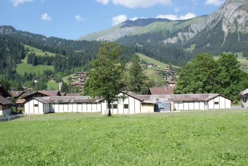 lenk