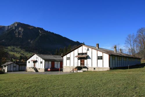 lenk