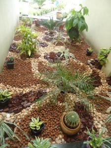 pousada paraiso dos lencois