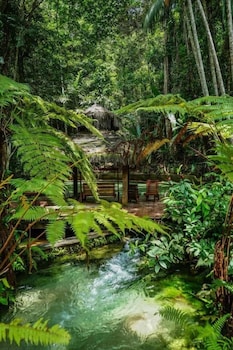 jardim da amazonia lodge