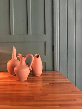 jardim da amazonia lodge