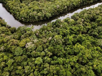 sao jose do rio claro