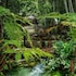 sao jose do rio claro