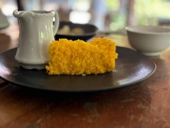 jardim da amazonia lodge