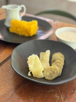 jardim da amazonia lodge