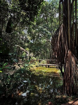 sao jose do rio claro