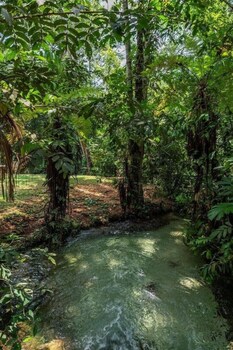 sao jose do rio claro