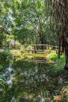 sao jose do rio claro