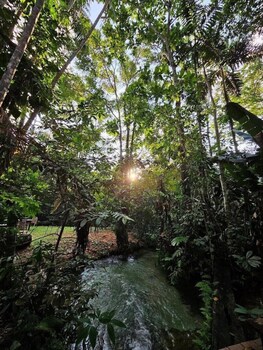 sao jose do rio claro