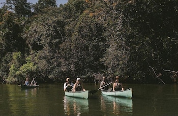 sao jose do rio claro
