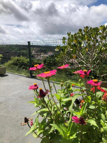 pousada da serra bananeiras