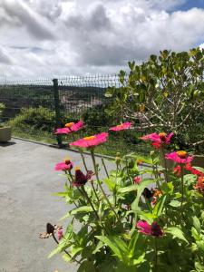 pousada da serra bananeiras