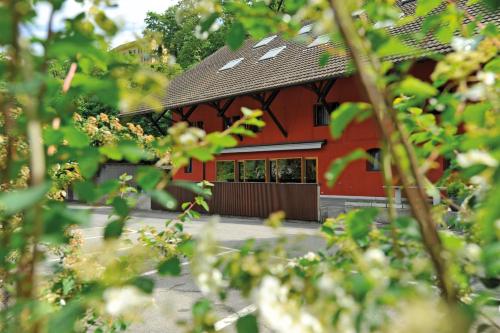 youth hostel baden