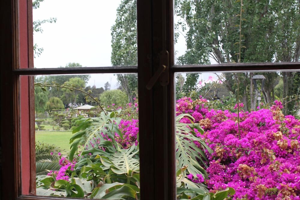 el arbol hostel