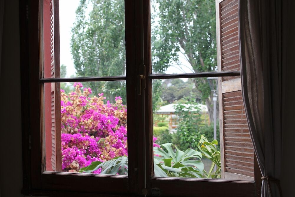el arbol hostel