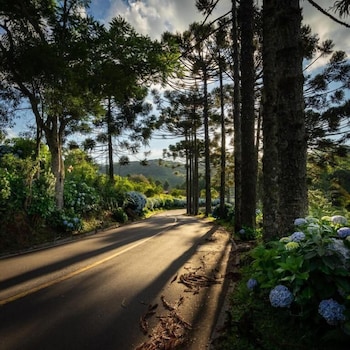 gramado