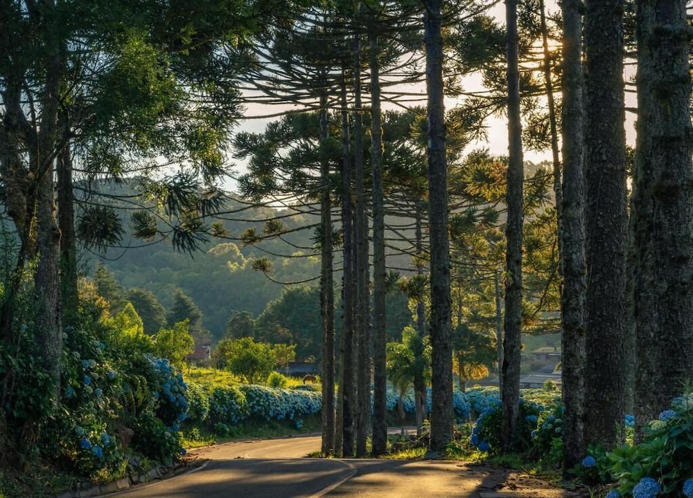 gramado
