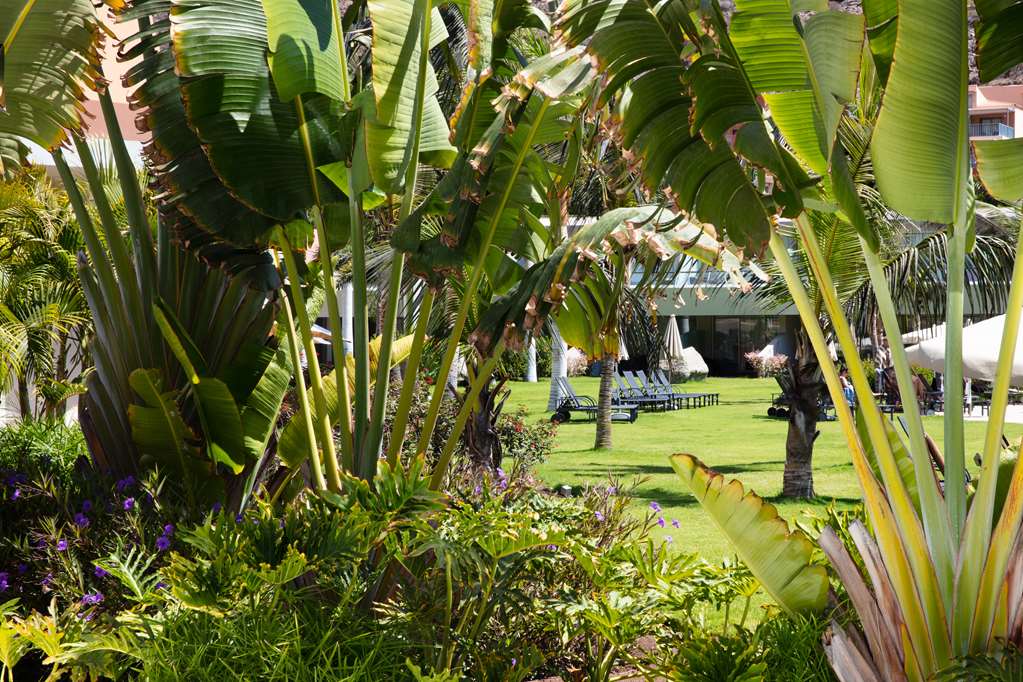 radisson blu resort and spa gran canaria mogan