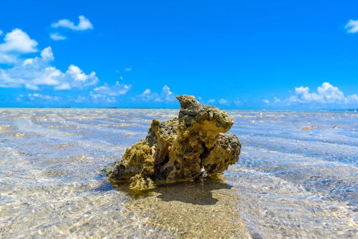 pousada marceneiro
