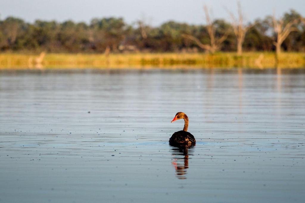 Discovery Parks - Lake Bonney,Barmera>>Adelaide,4 star