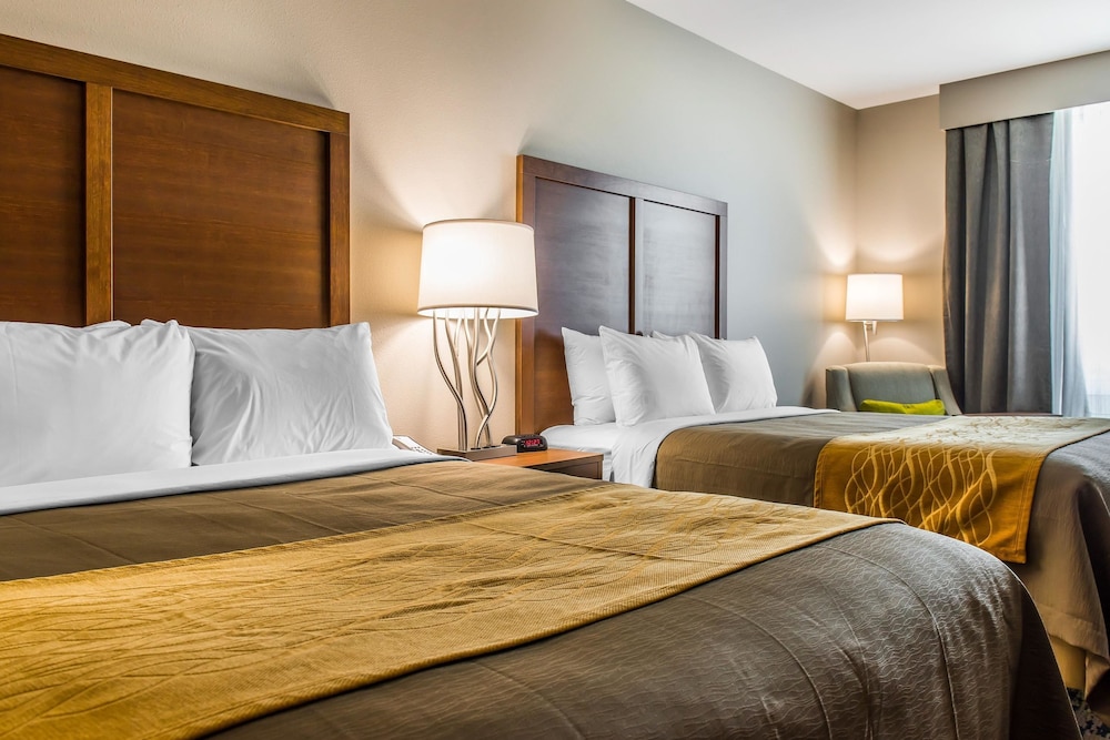 comfort inn and suites
