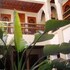 marrakech