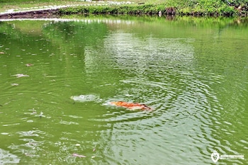 eco chales luar das mares