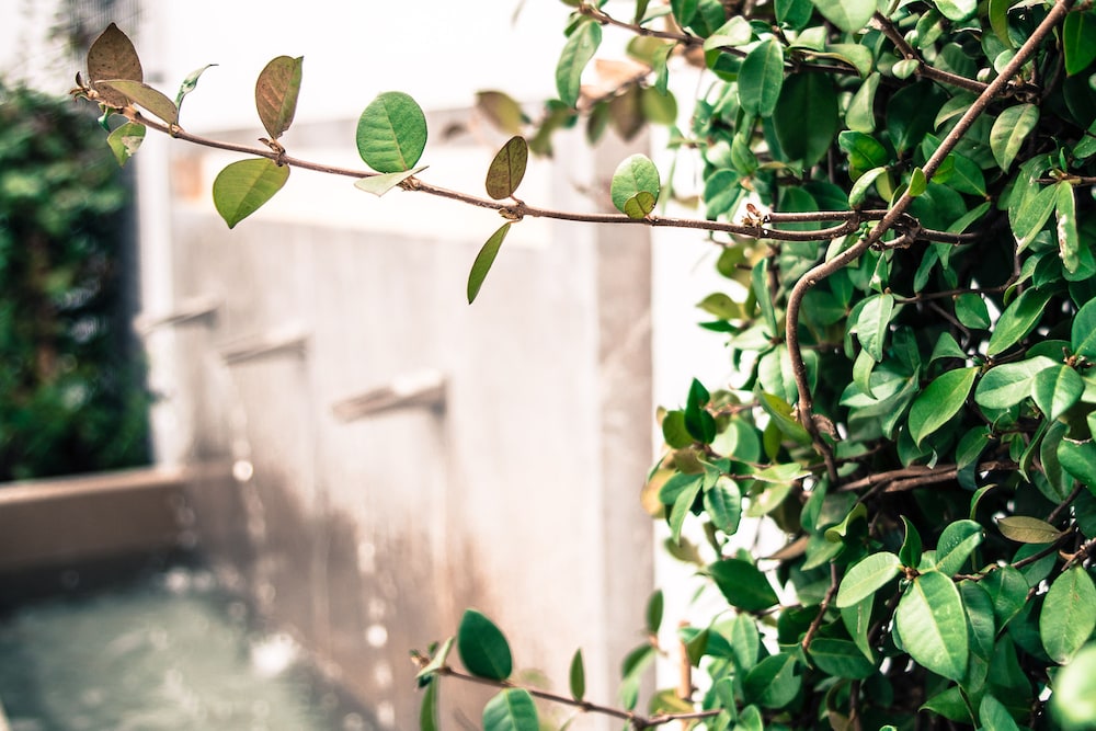 apartamentos campo del principe