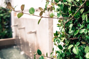 apartamentos campo del principe