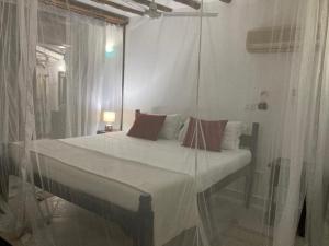 queen k cottages at chrystal homes