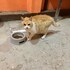 salvador
