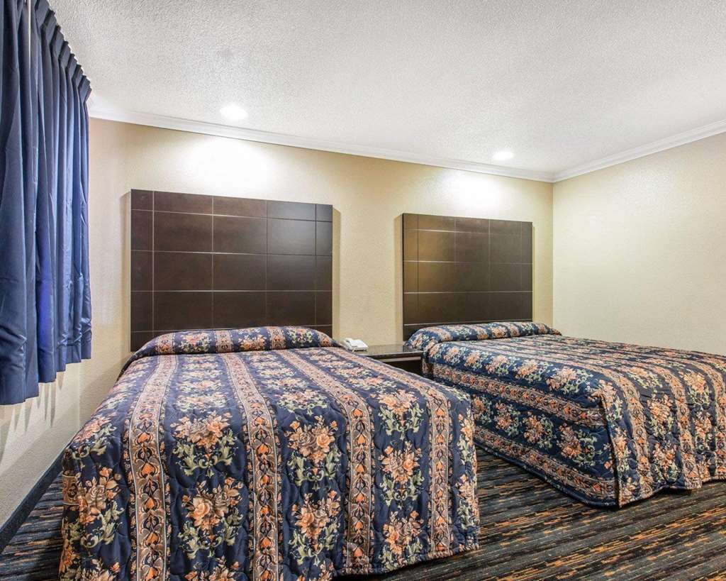 san bernardino