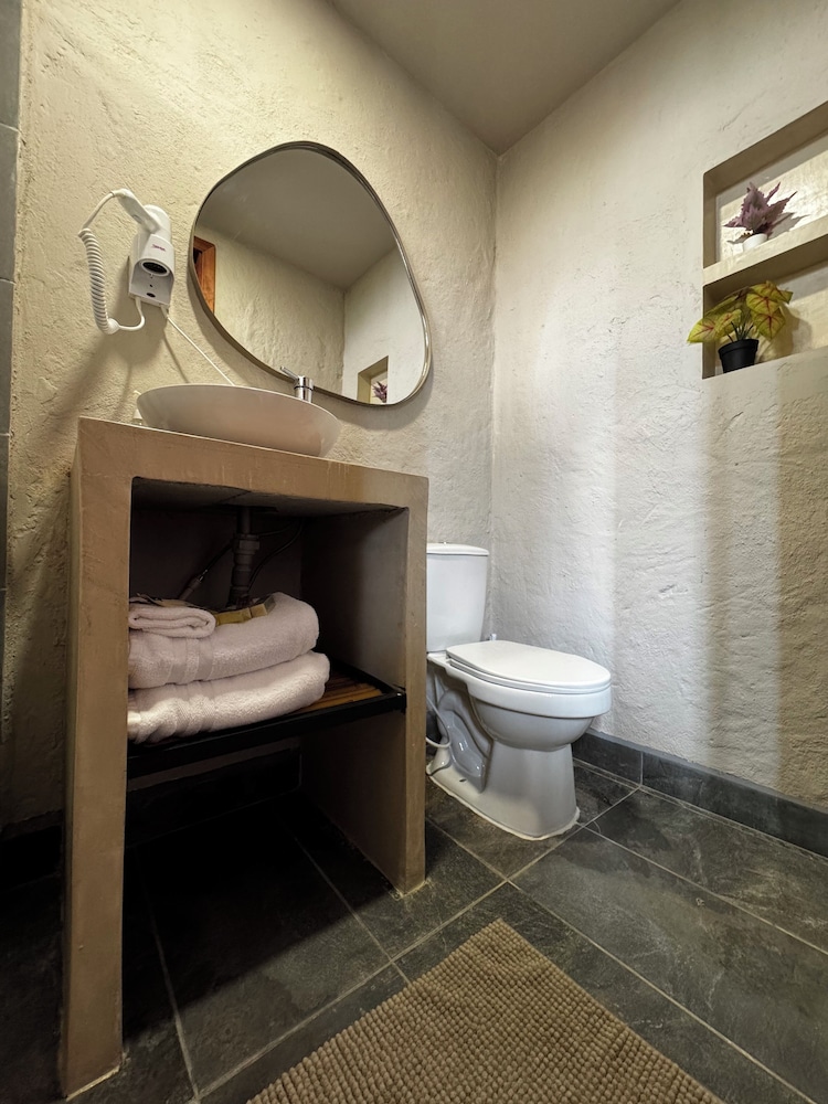 coffee tree boutique hostel