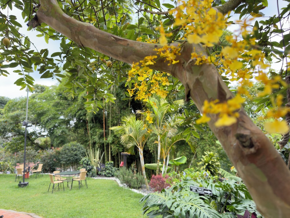 coffee tree boutique hostel