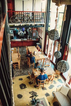 coffee tree boutique hostel