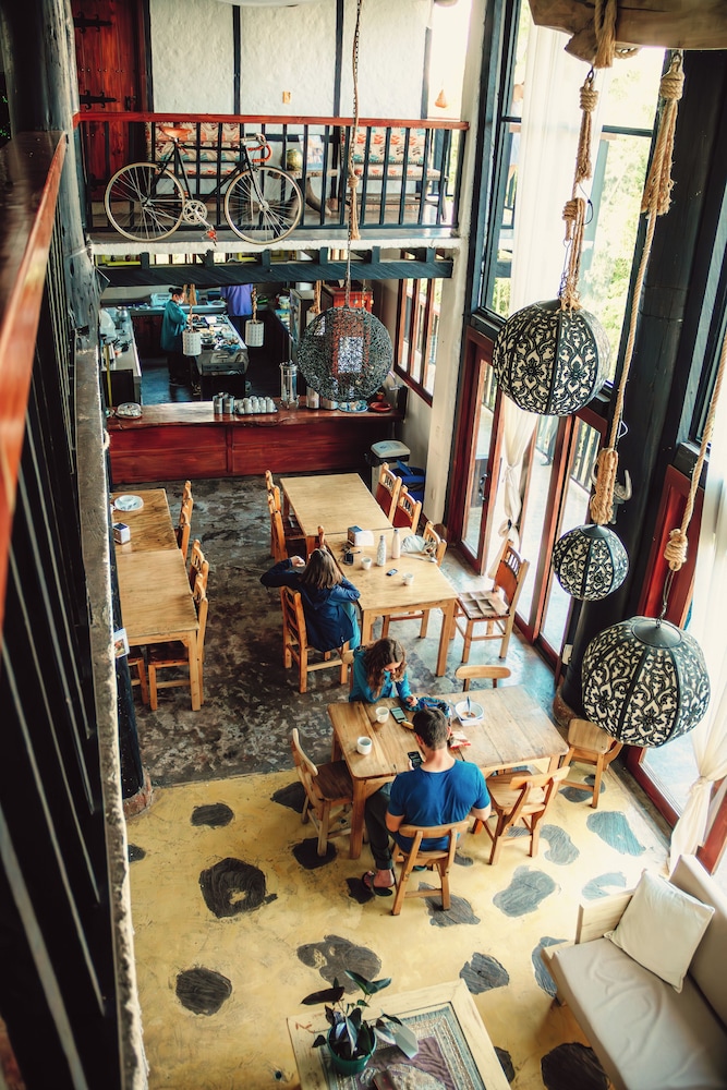 coffee tree boutique hostel