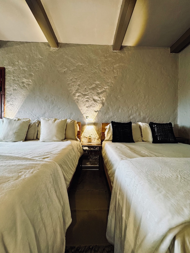 coffee tree boutique hostel